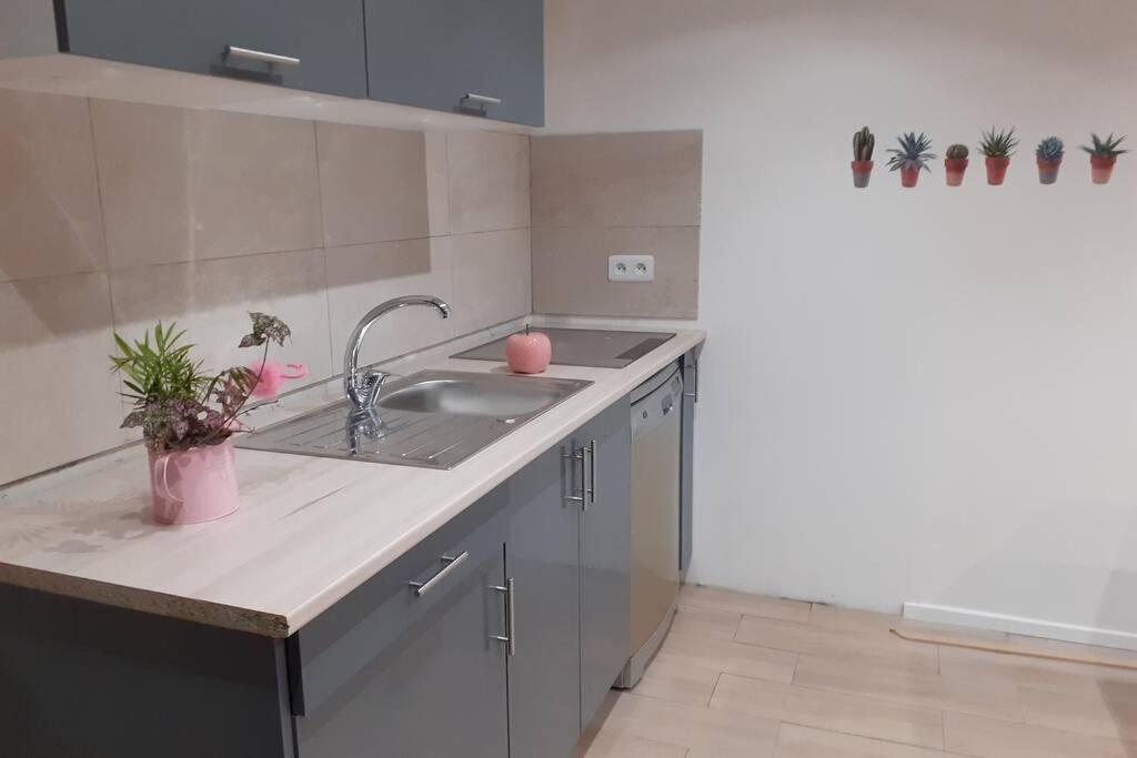 Appartement 3 Pieces Dans Villa Individuelle Falicon Buitenkant foto